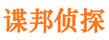 七里河市调查公司